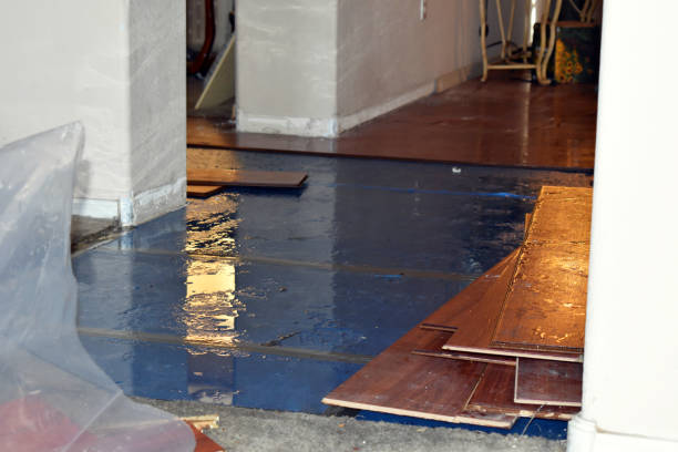 Professional Basement Water Removal technician working in Robbins, IL